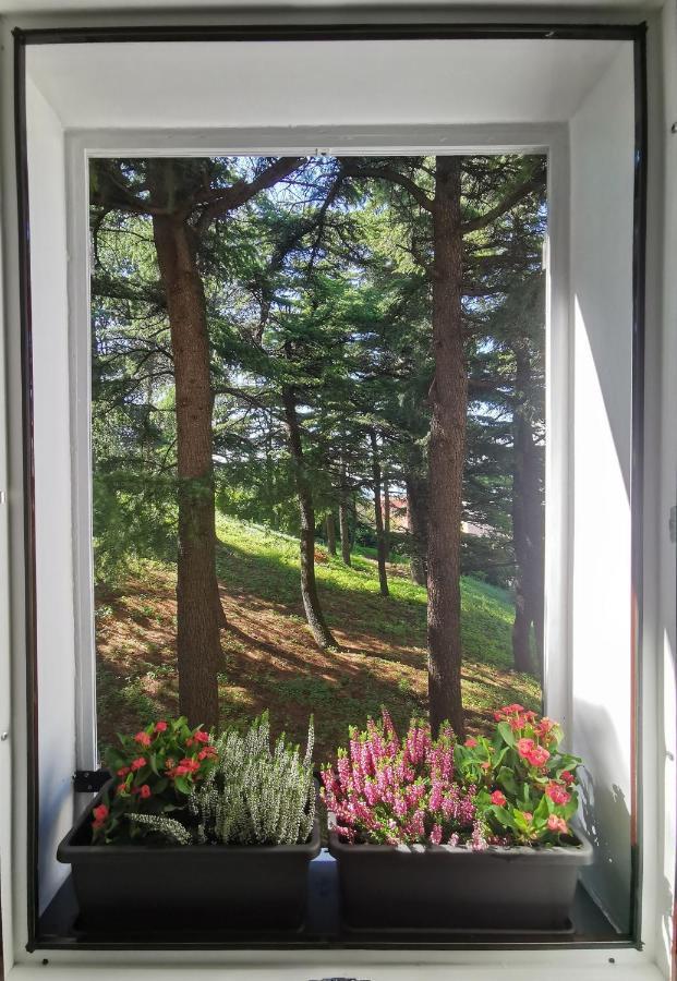 Monte 21 - San Giusto Apartment Trieste Ngoại thất bức ảnh